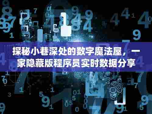 探秘数字魔法屋，程序员实时数据分享小店的奇妙之旅