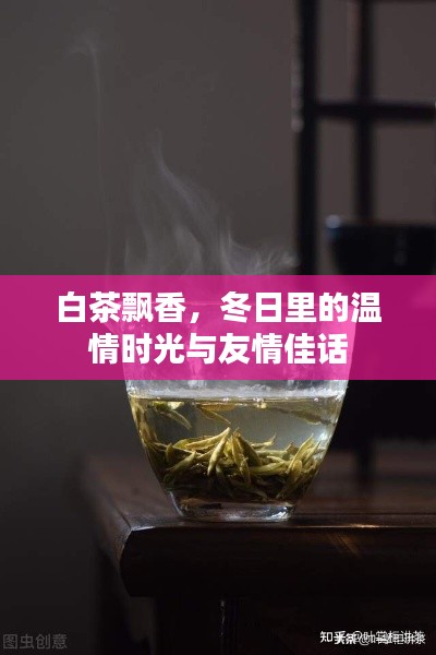 穷鸟入怀 第3页