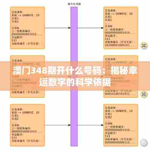 澳门348期开什么号码：揭秘幸运数字的科学依据