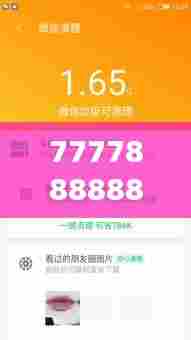 7777888888管家精准管家婆免费348期:个性化家庭管理方案的先行者