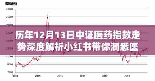 历年12月13日中证医药指数走势深度解析，医药板块动态尽在小红书掌握之中