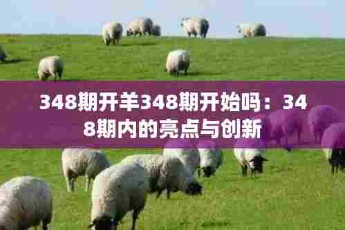 348期开羊348期开始吗：348期内的亮点与创新