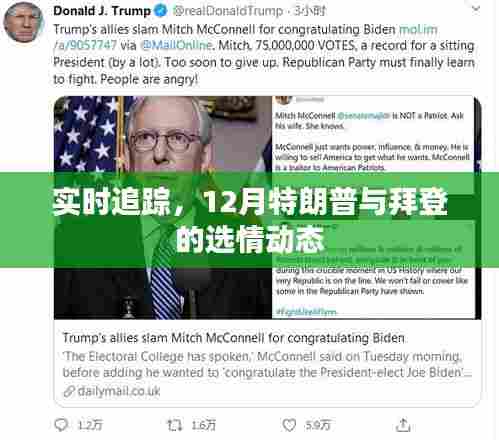 实时追踪,特朗普与拜登选情动态,揭秘十二月大选最新进展