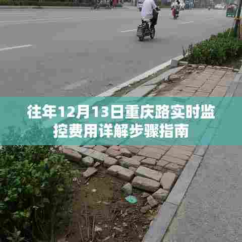 重庆路实时监控费用详解步骤指南及历年数据解析