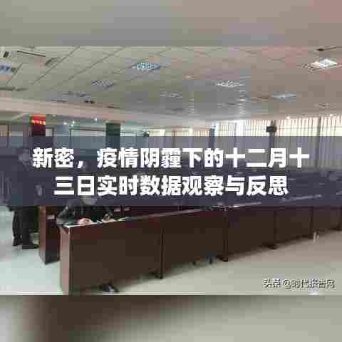 新密疫情实时数据观察与反思,十二月十三日的反思与行动