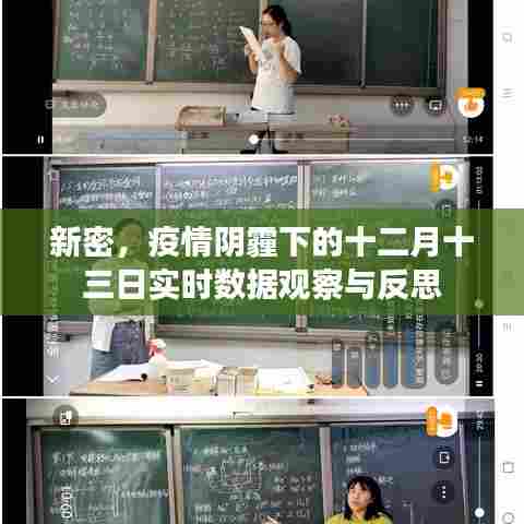 新密疫情实时数据观察与反思,十二月十三日的反思与行动