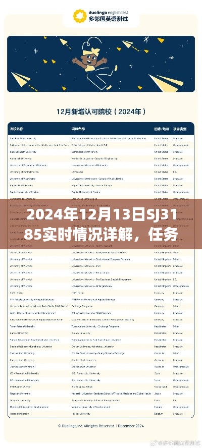 2024年SJ3185实时情况详解与任务完成指南,初学者与进阶用户技能学习手册