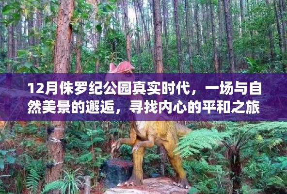 侏罗纪公园真实时代,与自然美景的邂逅与内心平和之旅