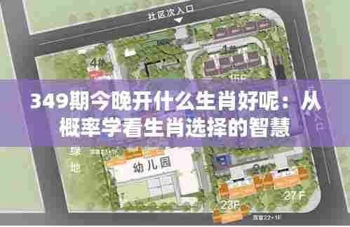 349期今晚开什么生肖好呢：从概率学看生肖选择的智慧