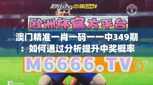澳门精准一肖一码一一中349期:如何通过分析提升中奖概率