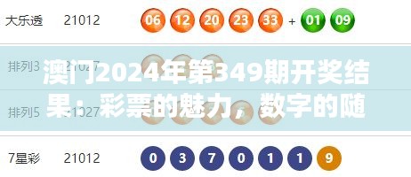 澳门2024年第349期开奖结果：彩票的魅力，数字的随机性