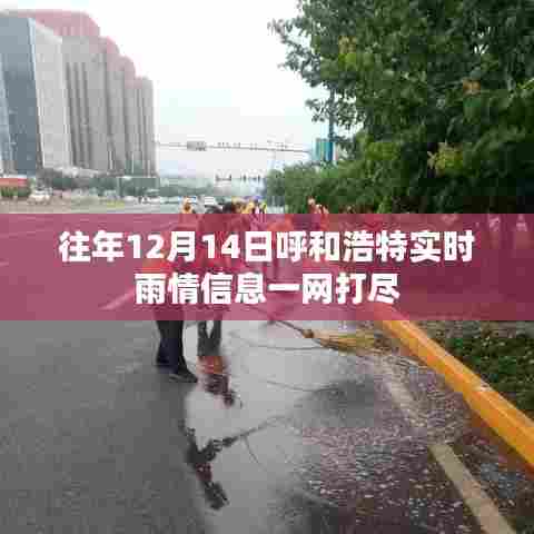 虎背熊腰 第4页