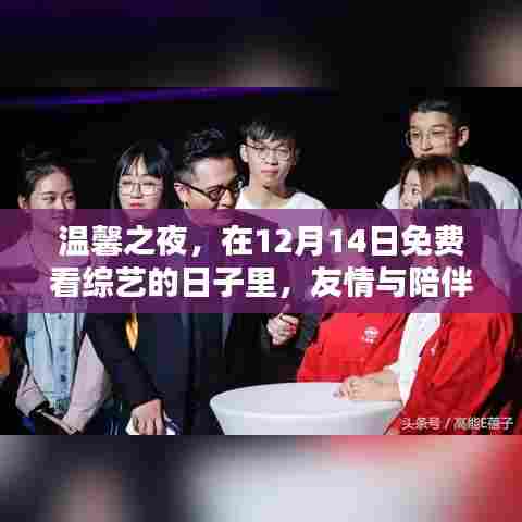友情之夜,温馨综艺免费观看日,陪伴的奇妙时光