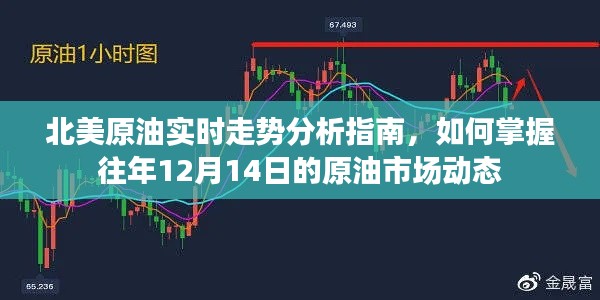 北美原油实时走势解析,掌握往年12月14日市场动态指南