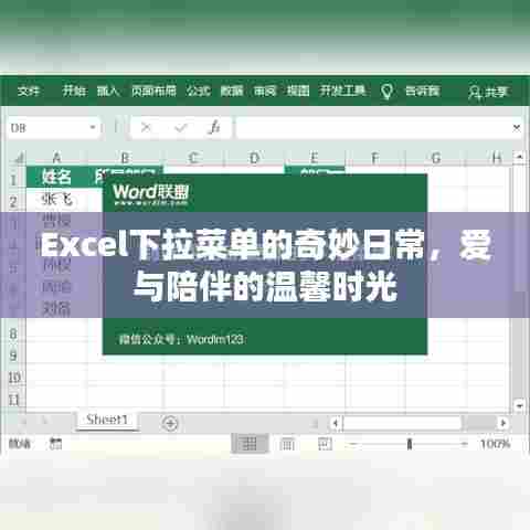 Excel下拉菜单的魔法与生活的温馨时光,爱与陪伴的日常