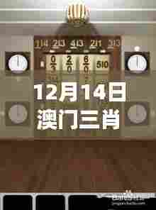 12月14日澳门三肖三码精准100%黄大仙":黄大仙的数字游戏