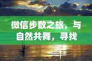 微信步数之旅，与自然同行，探寻内心宁静