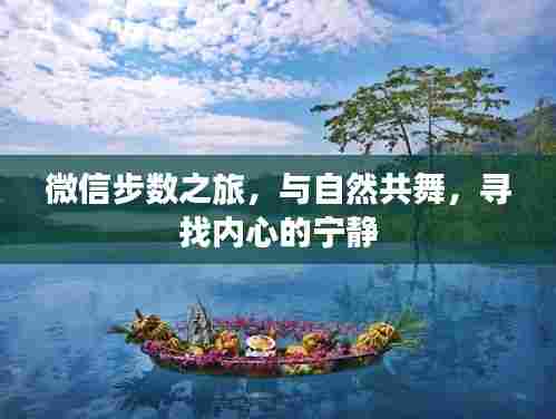 微信步数之旅,与自然同行,探寻内心宁静