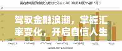 驾驭金融浪潮,掌握汇率变化,开启财富之旅的自信人生