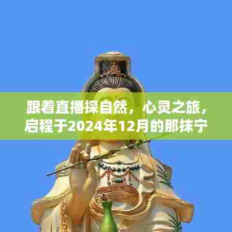 心灵之旅启程,跟随直播探自然,启程于宁静的冬日自然之旅