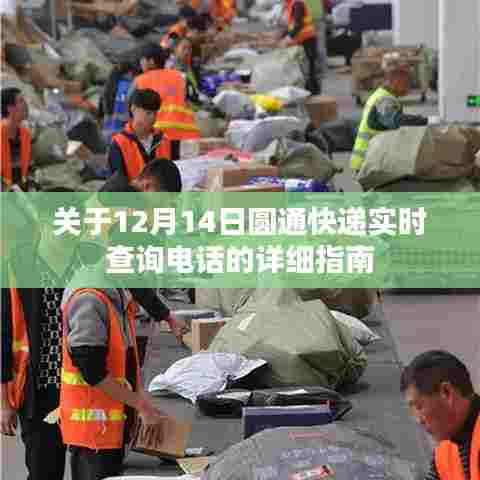 12月14日圆通快递实时查询电话指南