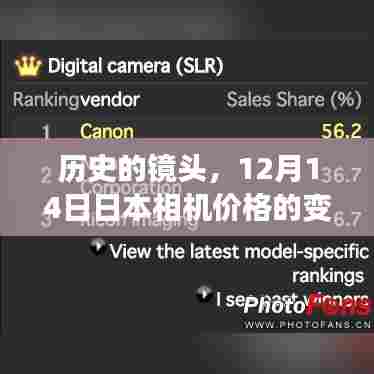 铺张扬厉 第2页