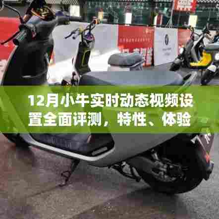 矫揉造作 第3页