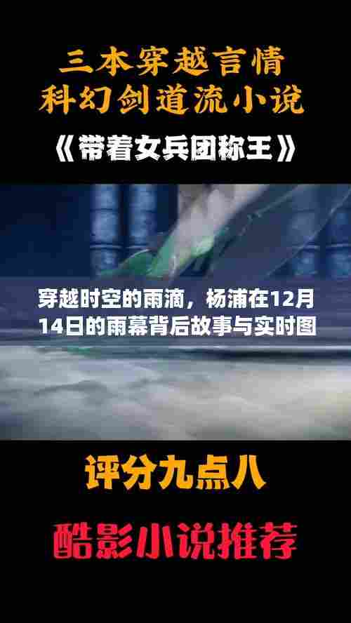 穿越时空的雨滴,杨浦12月14日雨幕背后的故事与瞬间