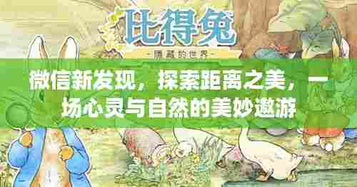 微信新发现,心灵与自然的距离之美探索之旅
