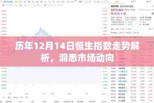 历年12月14日恒生指数走势深度解析，洞悉市场趋势与动向