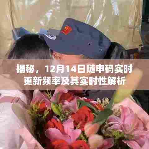 揭秘,随申码在12月14日的实时更新频率及其实效性分析