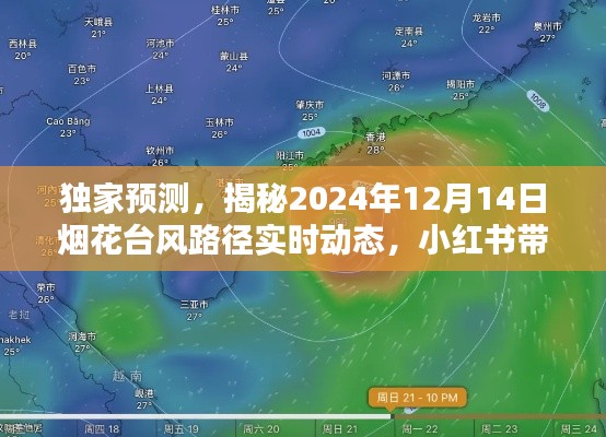 独家预测，小红书带你共抗烟花台风路径实时动态，揭秘风雨走向！