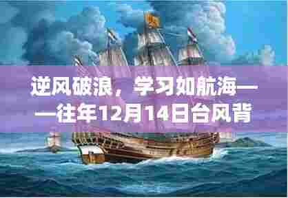 逆风破浪，台风中的励志学习之旅——往年12月14日的启示