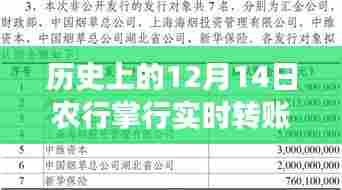 农行掌行实时转账明细深度评测及介绍,历史视角下的12月14日回顾