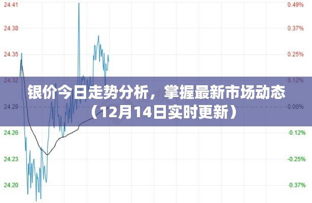 小鸟伊人 第3页