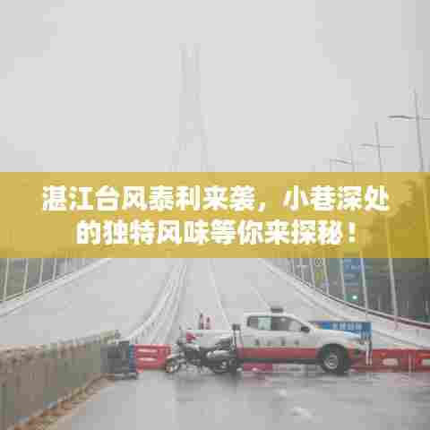 衣不兼采 第3页