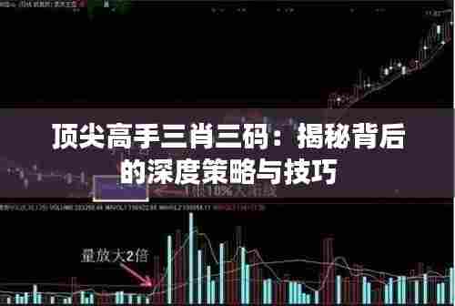 顶尖高手三肖三码：揭秘背后的深度策略与技巧