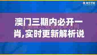 澳门三期内必开一肖,实时更新解析说明_9DM7.894
