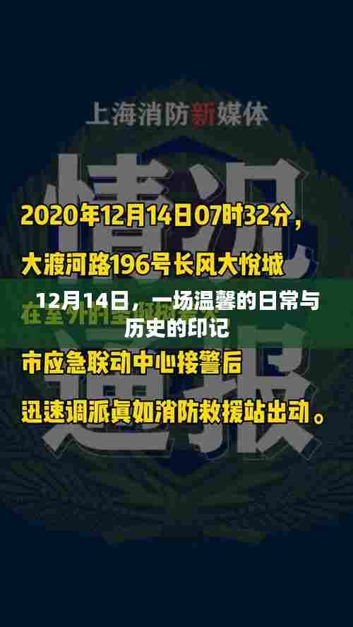 温馨日常与历史印记的交融，12月14日纪事