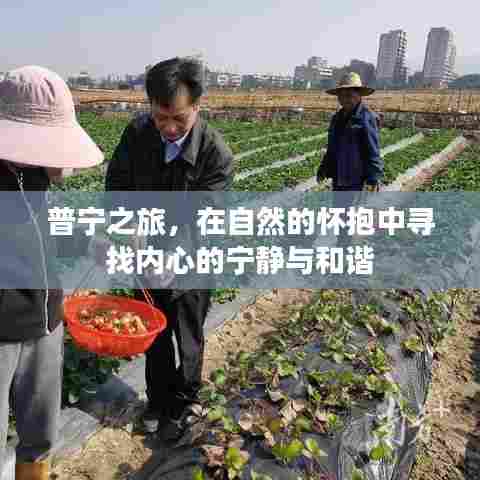 普宁之旅,自然怀抱中的内心宁静与和谐探索