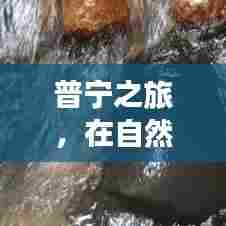 普宁之旅,自然怀抱中的内心宁静与和谐探索