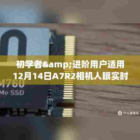 初学者与进阶用户适用的A7R2相机人眼实时对焦设置指南（12月14日版）