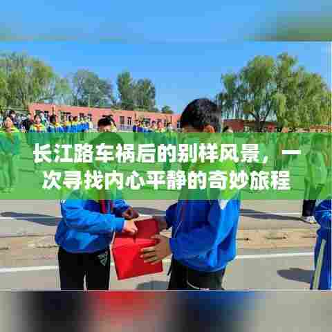 长江路车祸后的心灵探寻，平静与奇迹的旅程