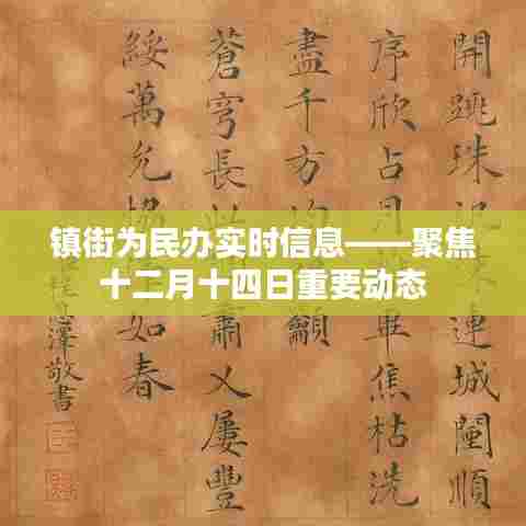 镇街为民实时信息更新,十二月十四日重要动态聚焦