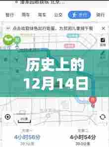 下马看花 第3页