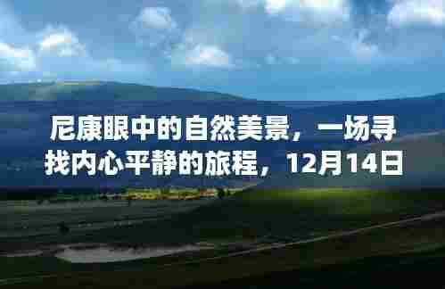 尼康眼中的自然奇迹,寻找内心平静的旅程见证时刻(12月14日)