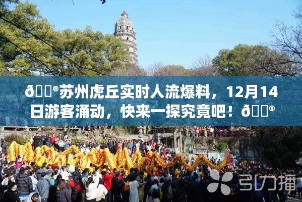 苏州虎丘游客涌动,揭秘实时人流爆料,一探究竟!