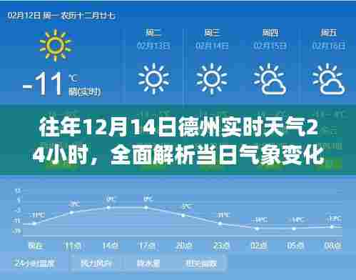 往年12月14日德州气象变化全面解析,实时天气与气象变化回顾