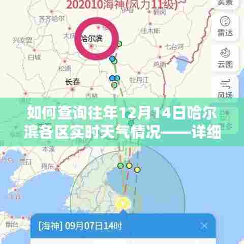 如何查询哈尔滨各区往年12月14日实时天气情况，详细步骤解析