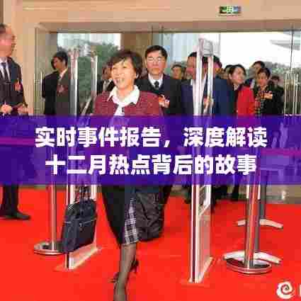 百鸟归巢 第3页